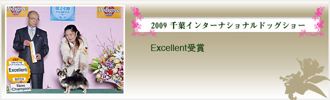 2009 千葉インターナショナルドッグショー（Excellent受賞）