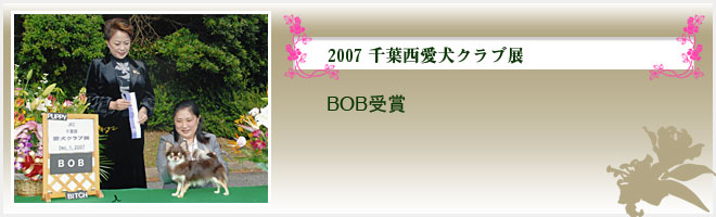 2007 千葉西愛犬クラブ展（BOB受賞）