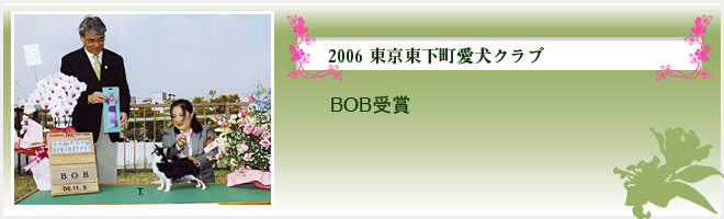2006 東京東下町愛犬クラブ（BOB受賞）

