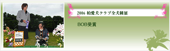 2006 柏愛犬クラブ全犬種展（BOB受賞）
