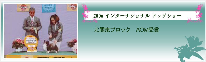 2006 インターナショナル ドッグショー（北関東ブロック　AOM受賞）