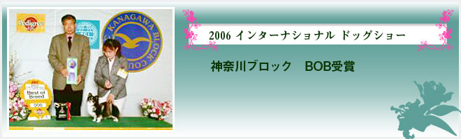 2006 インターナショナル ドッグショー（神奈川ブロック　BOB受賞）
